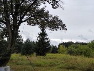 Działka rolno-budowlana Tarnowiec. Zdjęcie 5