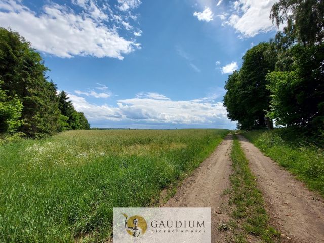 Działka Borkowo Lęborskie. Zdjęcie 5