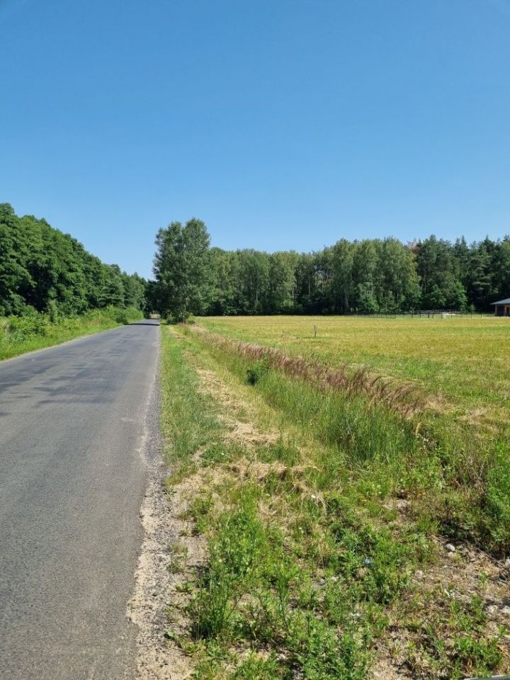 Działka budowlana Gąba. Zdjęcie 2