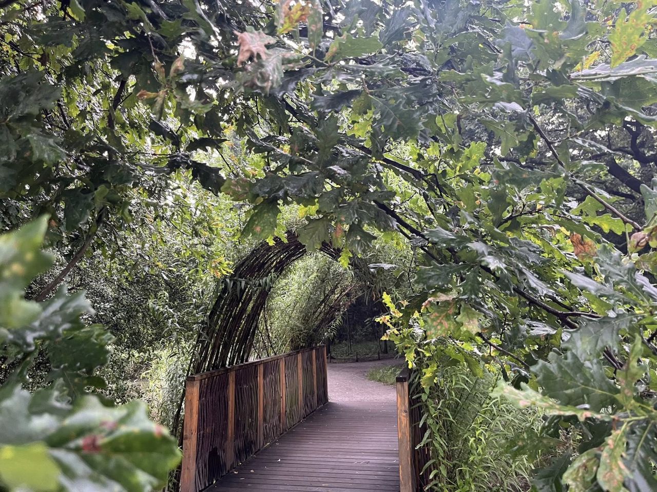 Mieszkanie 3-pokojowe Wrocław Krzyki, ul. Wietrzna. Zdjęcie 18