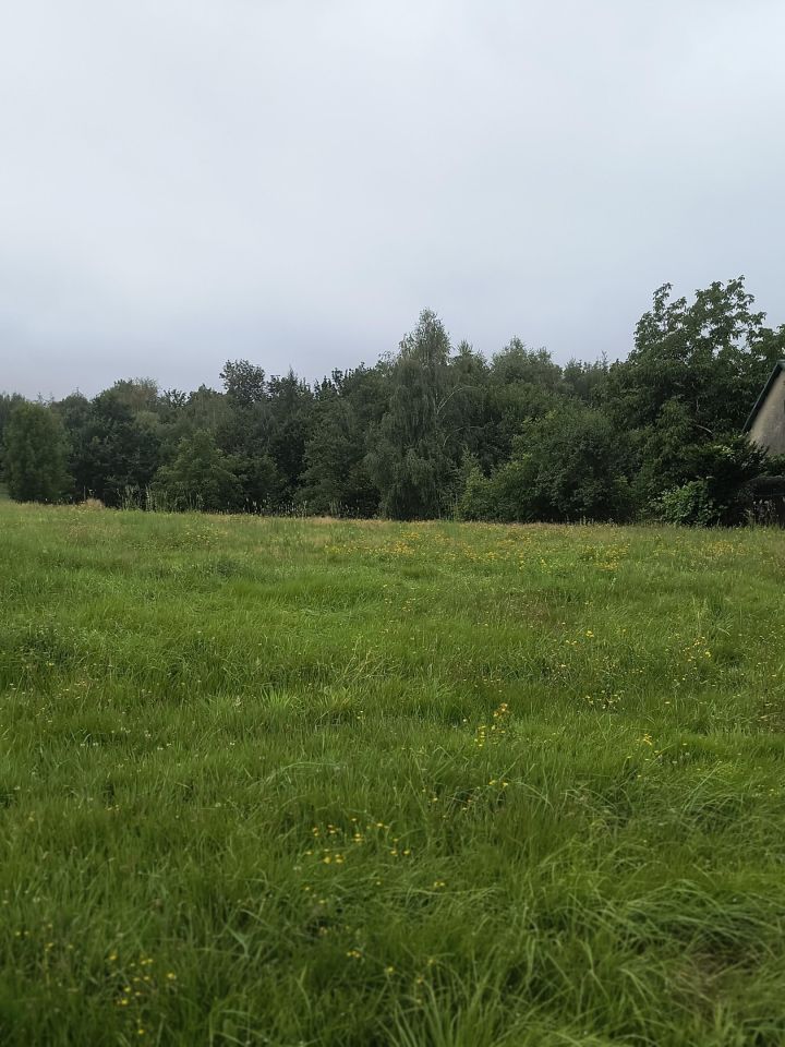 Działka rolno-budowlana Stary Wiśnicz Zagrody. Zdjęcie 2