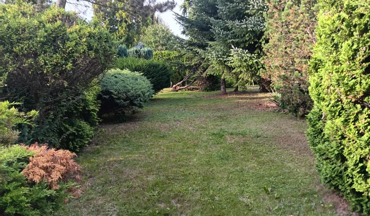 Działka rod Bytom Dymitrów, ul. Olimpijska