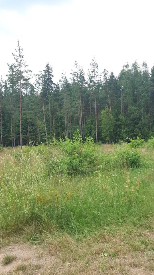 Działka rolna Wigrańce. Zdjęcie 2