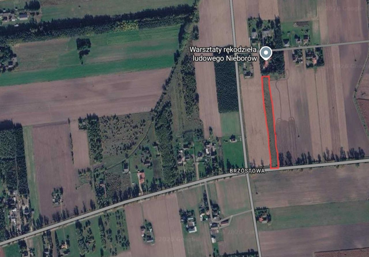 Działka rolno-budowlana Nieborów. Zdjęcie 2