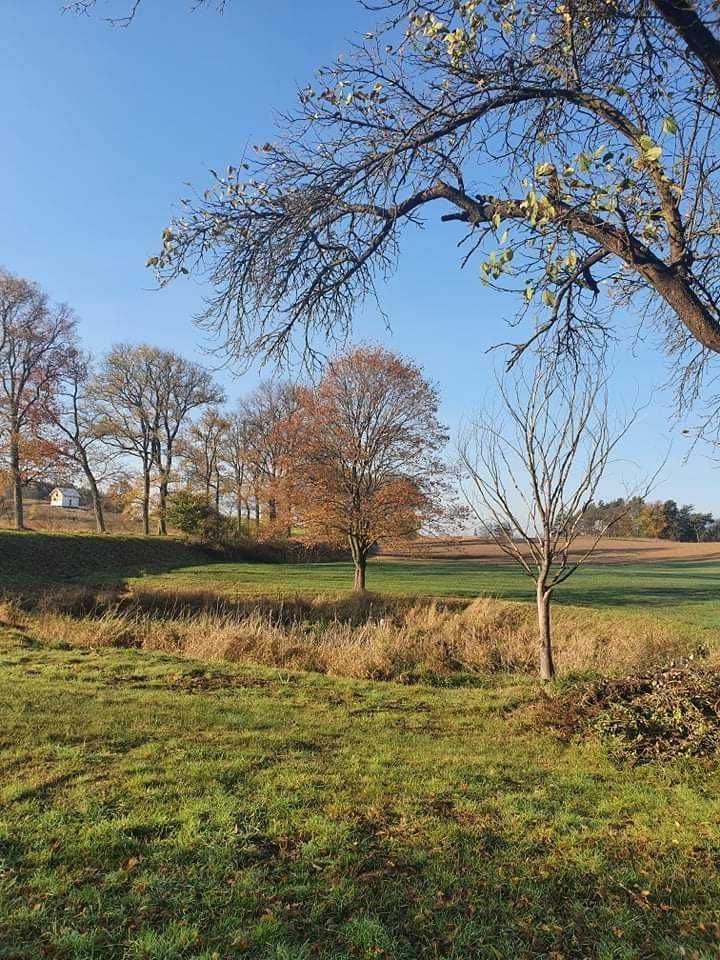 Działka budowlana Chłopowo. Zdjęcie 3