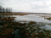 siedlisko Dolistowo Stare. Zdjęcie 3