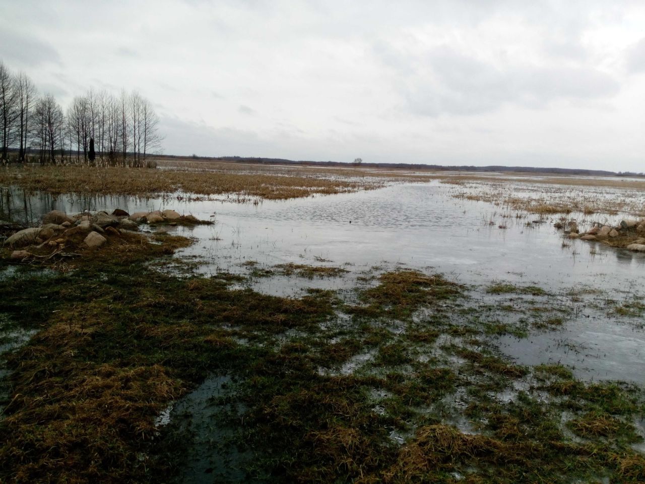 siedlisko Dolistowo Stare. Zdjęcie 4