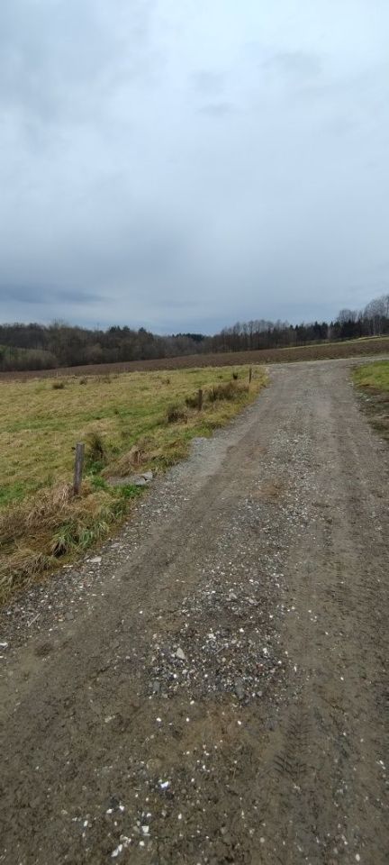 Działka budowlana Łapanów. Zdjęcie 8