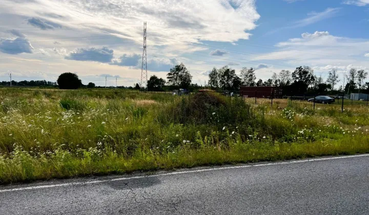 Działka budowlana Szynkielew