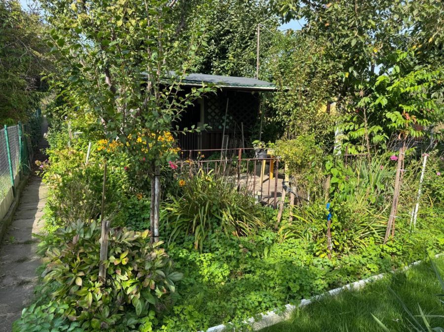 Działka rod Gdynia Mały Kack, ul. Przemyska. Zdjęcie 10