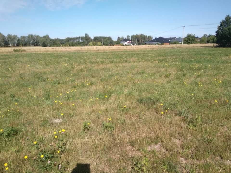 Działka budowlana Anielinek. Zdjęcie 6