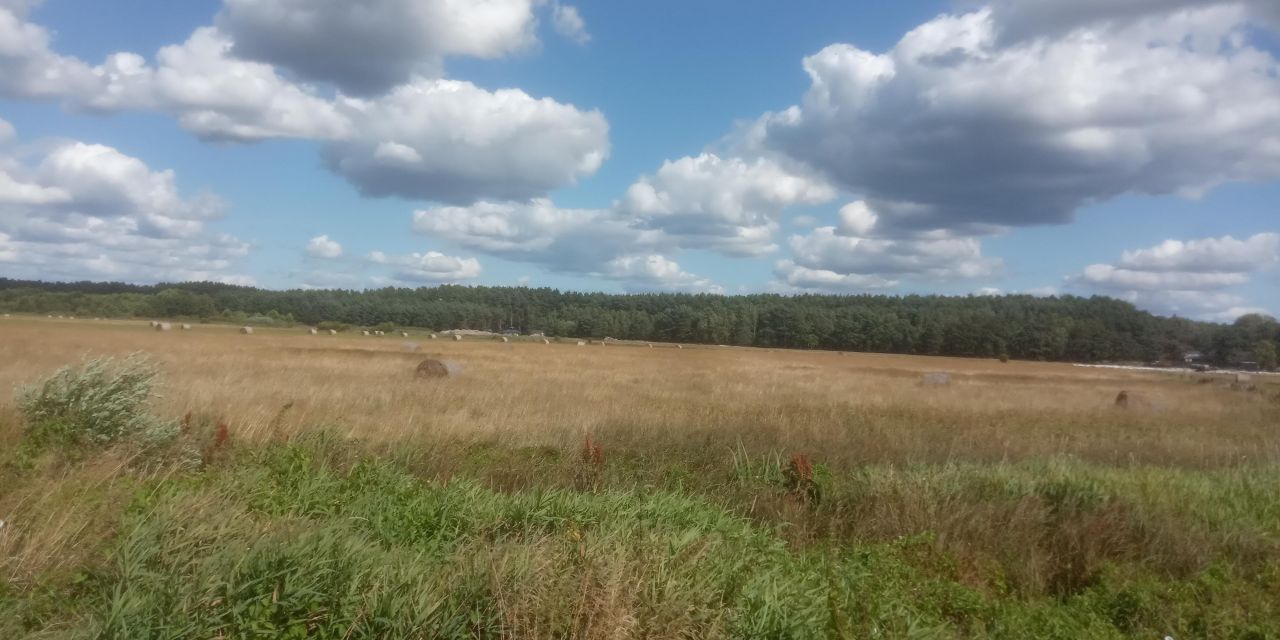 Działka rolna Kałek. Zdjęcie 2