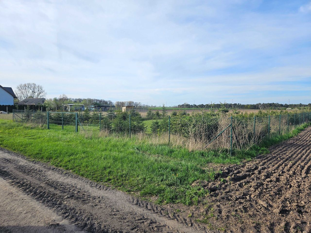 Działka budowlana Brzeziny. Zdjęcie 2