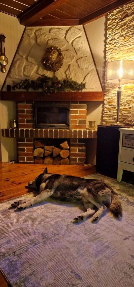 dom wolnostojący Podwilczyn. Zdjęcie 7