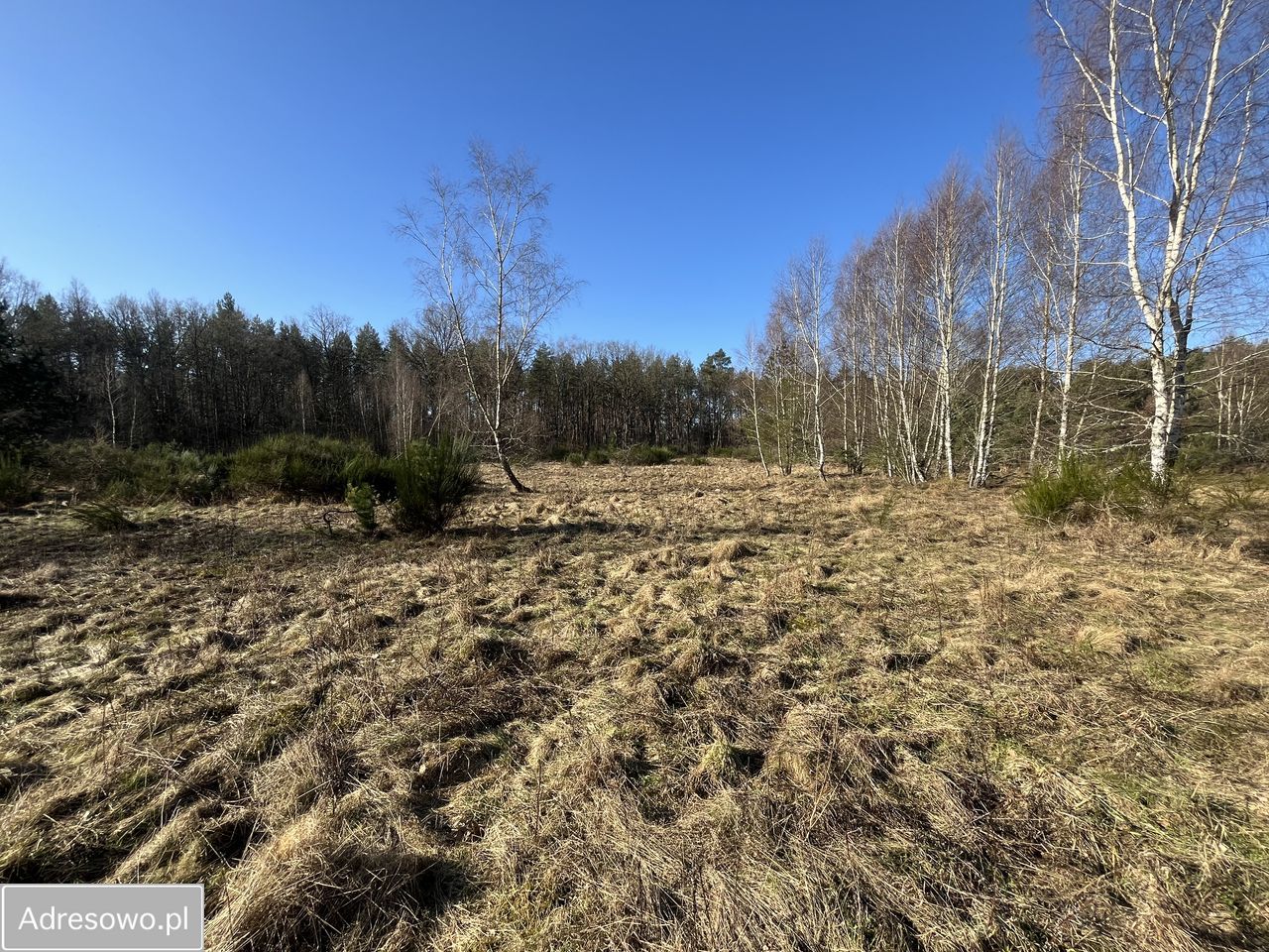 Działka rolno-budowlana Bukowa. Zdjęcie 5
