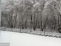 dom wolnostojący, 6 pokoi Warszawa Wilanów, ul. Rosy. Zdjęcie 4