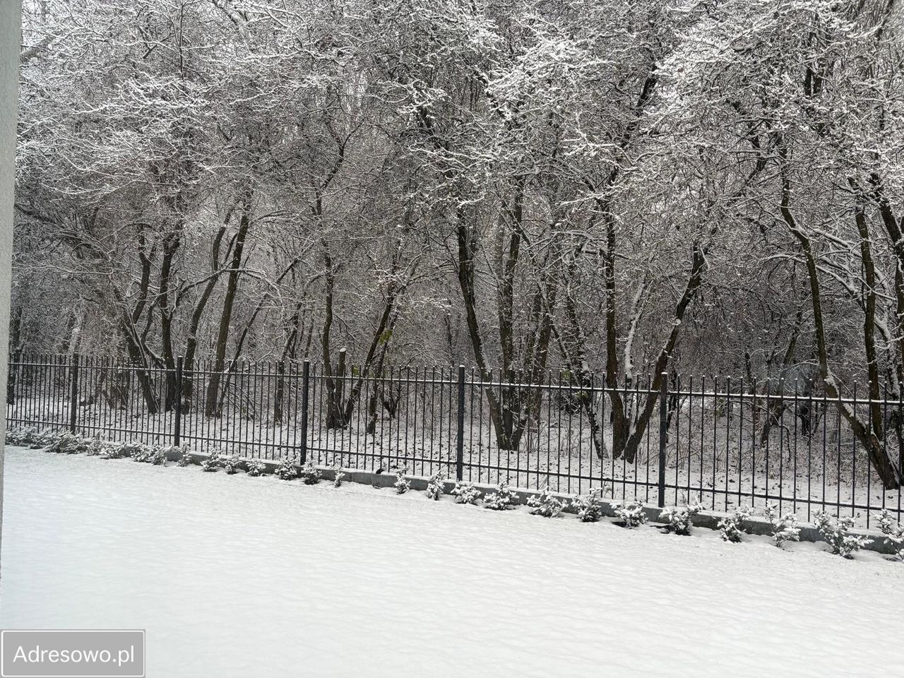 dom wolnostojący, 6 pokoi Warszawa Wilanów, ul. Rosy. Zdjęcie 5