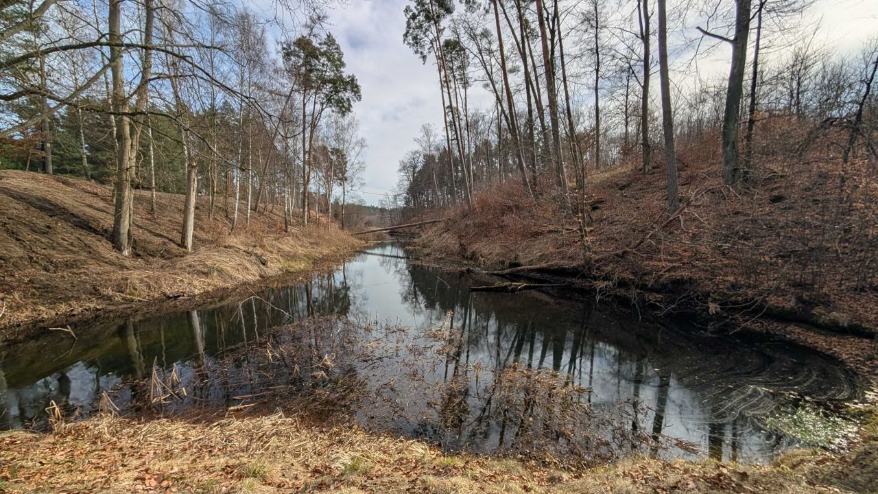 Działka rolna Lipy. Zdjęcie 3