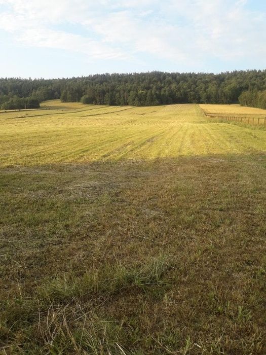 Działka rolno-budowlana Ustrzyki Dolne