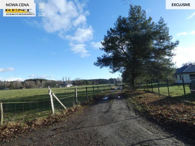 Działka budowlana Krzywice. Zdjęcie 12