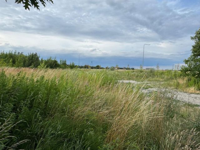 Działka budowlana Radomierzyce. Zdjęcie 8