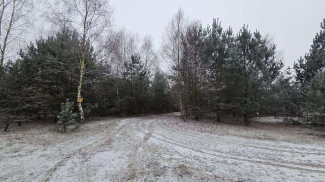 Działka rekreacyjna Osada-Wola. Zdjęcie 2