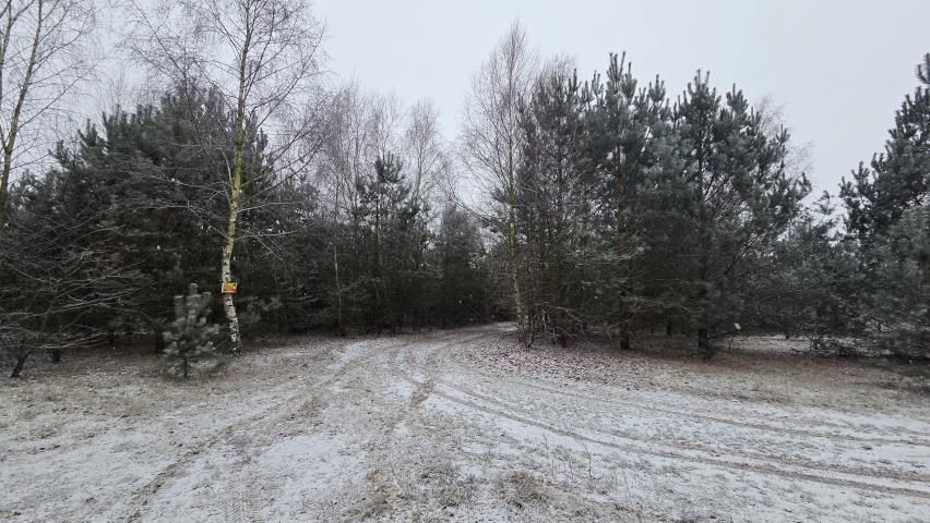 Działka rekreacyjna Osada-Wola. Zdjęcie 2