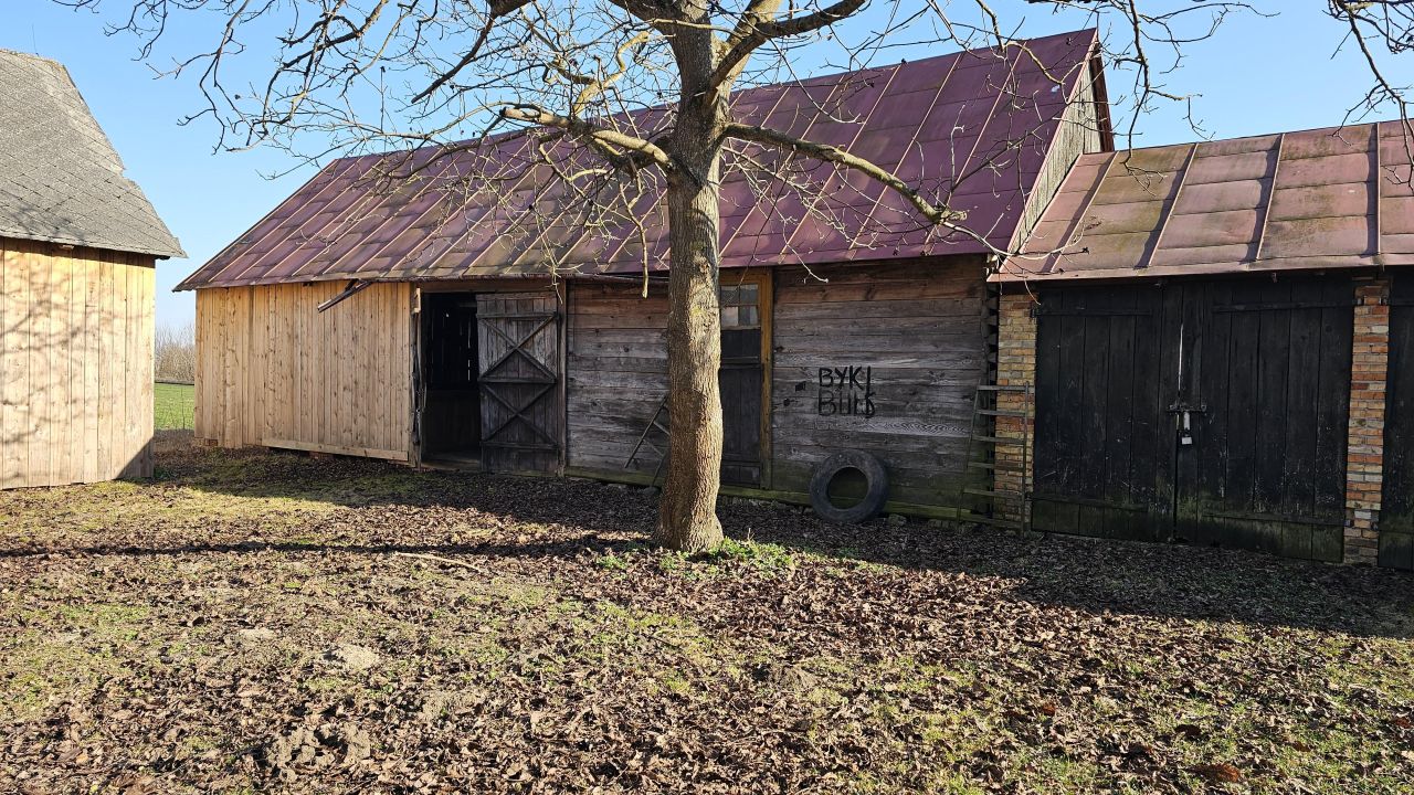 siedlisko Bogucice. Zdjęcie 6