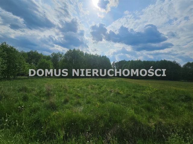 Działka Olszowiec. Zdjęcie 3