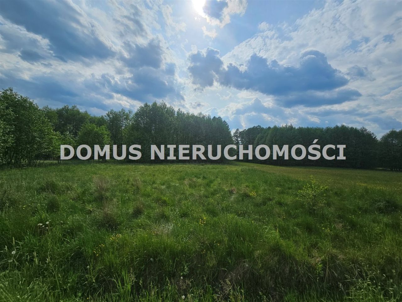Zdjęcie 3