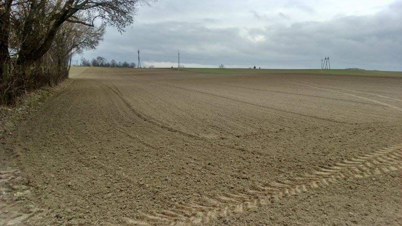 Działka budowlana Piechcin. Zdjęcie 2