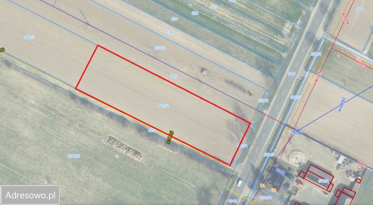 Działka rolno-budowlana Bolewice. Zdjęcie 3