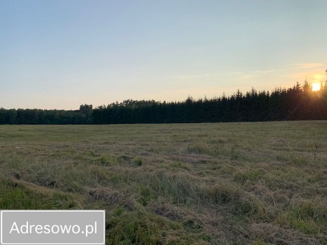 Działka rolna Rzystnowo. Zdjęcie 3
