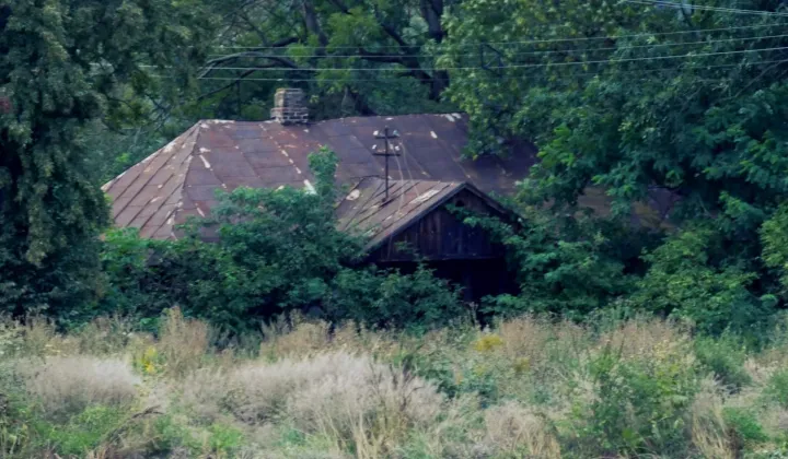 Działka siedliskowa Wyżłów