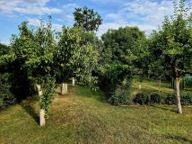 dom wolnostojący, 5 pokoi Banie. Zdjęcie 4