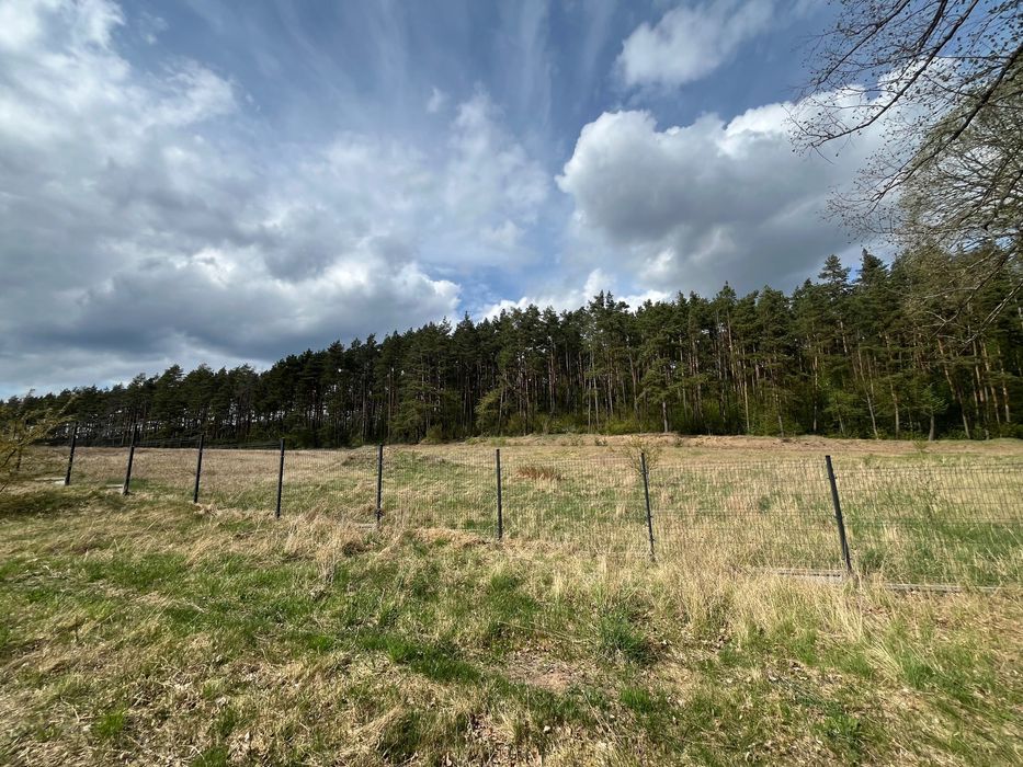 Działka budowlana Międzylesie. Zdjęcie 8