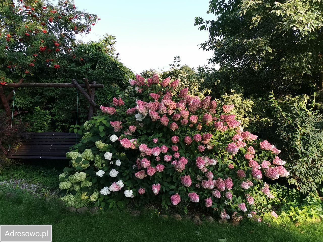 siedlisko, 3 pokoje Krzywe. Zdjęcie 15