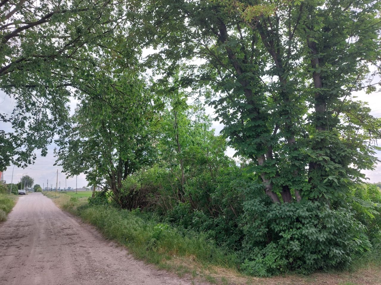 Działka budowlana Inowrocław, ul. Wiktora Spornego. Zdjęcie 3