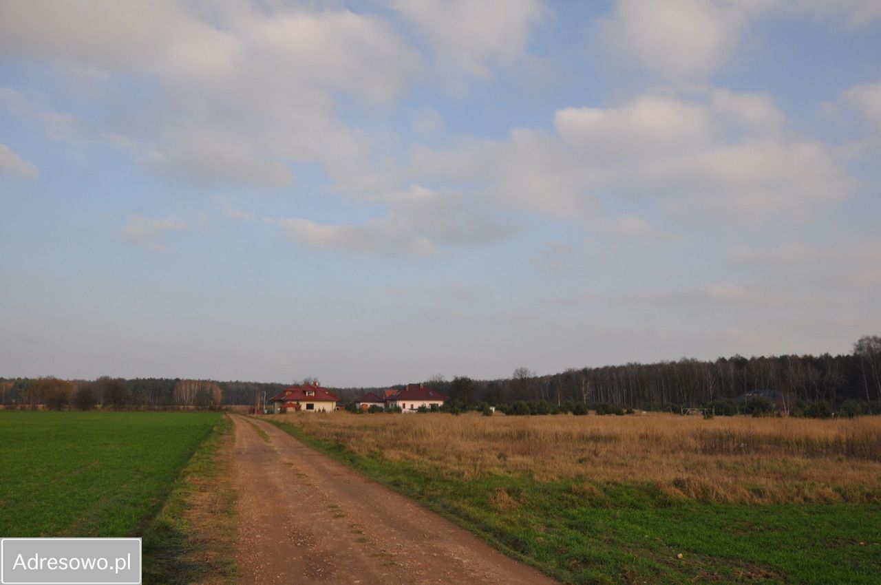 Działka rolno-budowlana Radzewo. Zdjęcie 2
