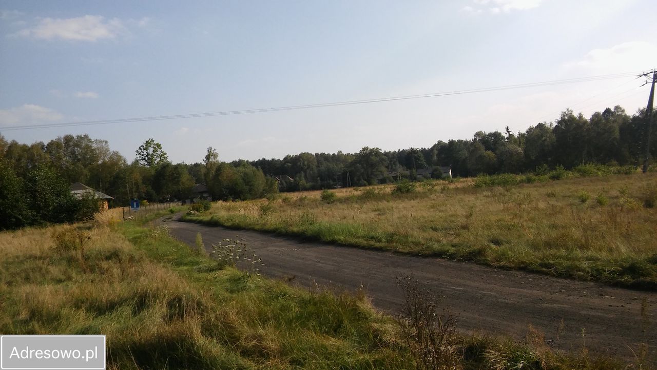 Działka rolno-budowlana Masłońskie. Zdjęcie 7