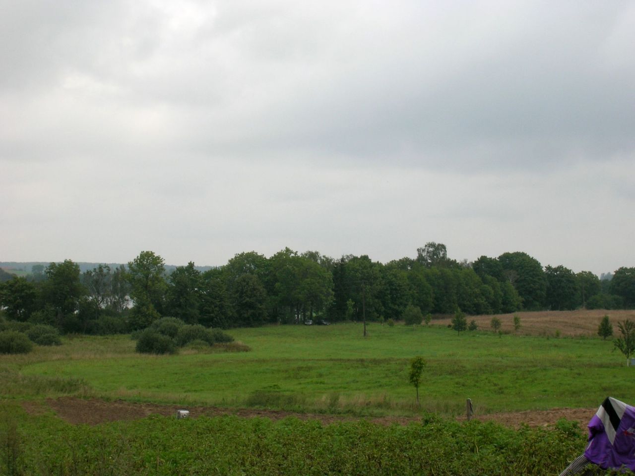 Działka siedliskowa Kikity. Zdjęcie 4