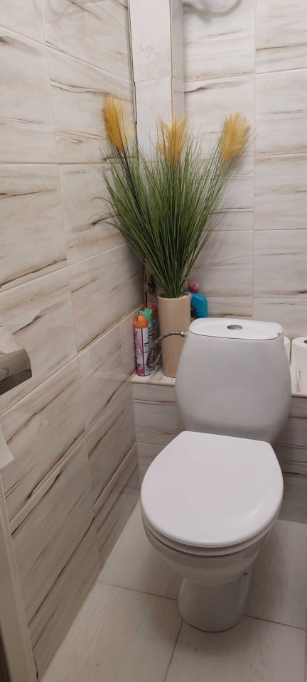 Mieszkanie 2-pokojowe Nowosiółki-Kolonia. Zdjęcie 4