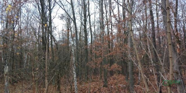 Działka inna Katowice Ligota, ul. Upadowa. Zdjęcie 2