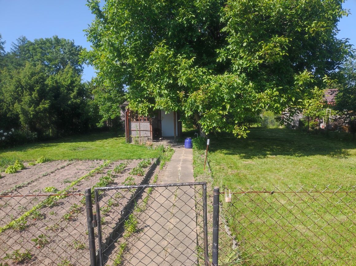 Działka rod Żuromin. Zdjęcie 3