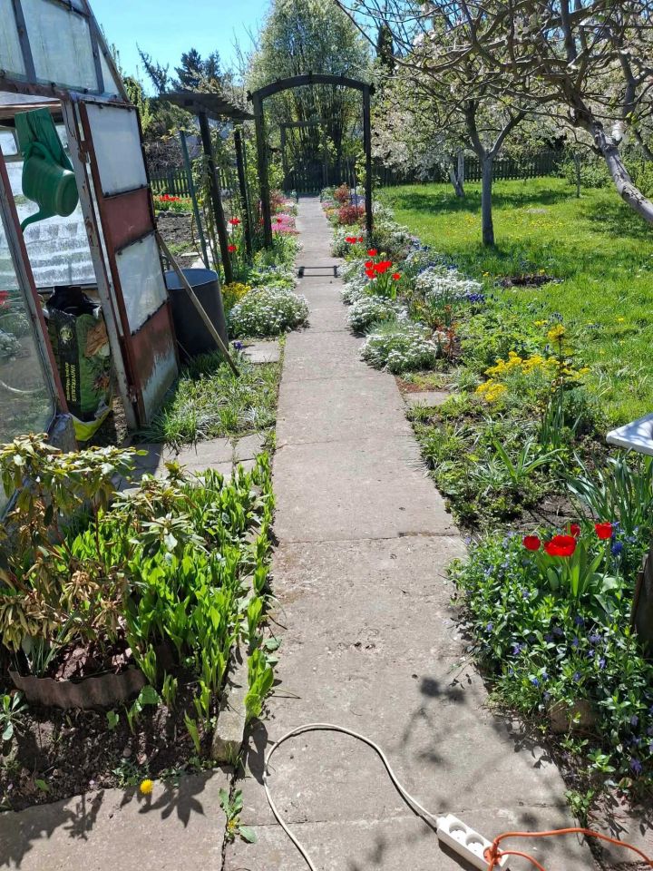 Działka rod Ostrów Wielkopolski, ul. Wysocka. Zdjęcie 2