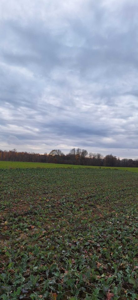 Działka budowlana Ciecierzyn. Zdjęcie 7