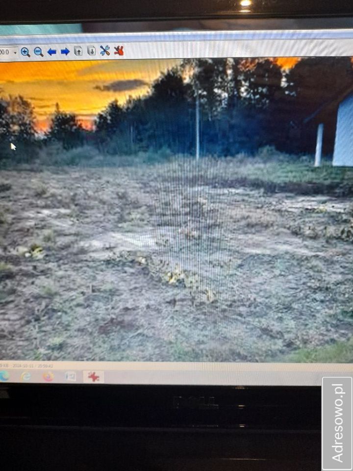 Działka siedliskowa Świniary. Zdjęcie 3