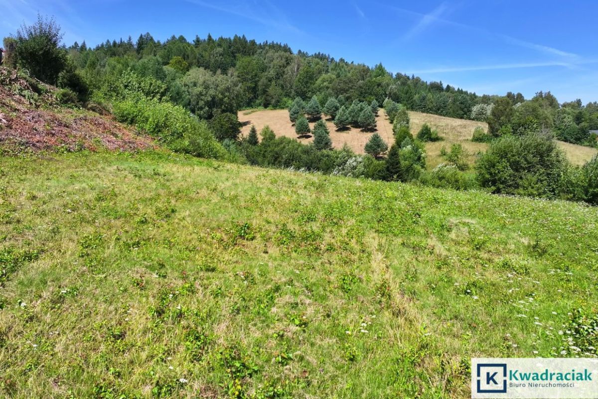 Działka budowlana Bukowiec. Zdjęcie 9