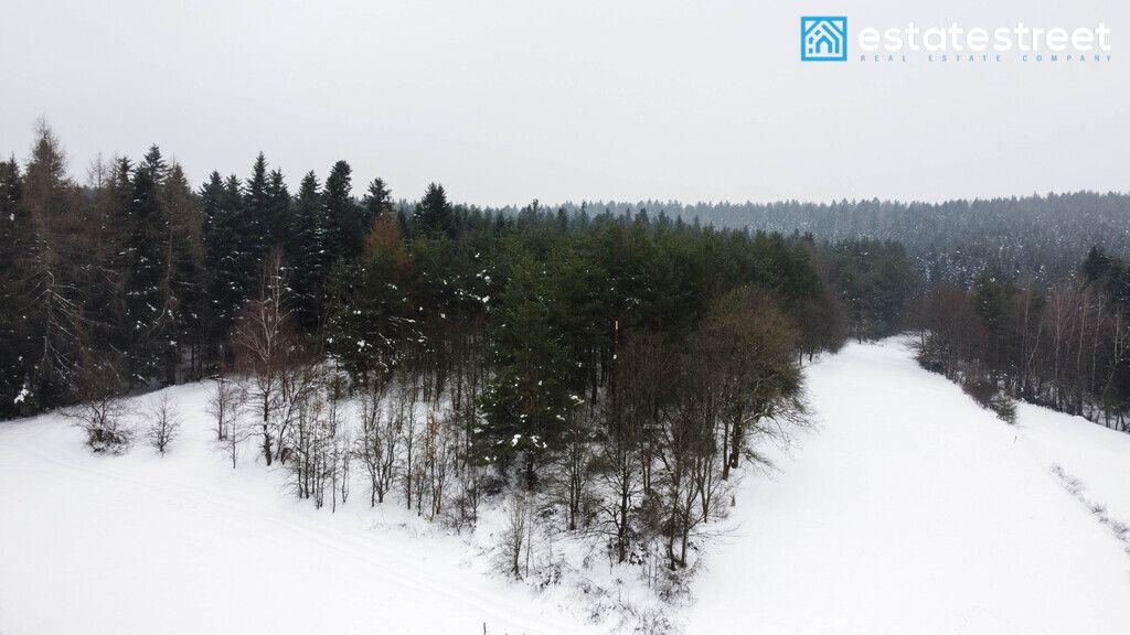 Działka rolna Kuźmina. Zdjęcie 4