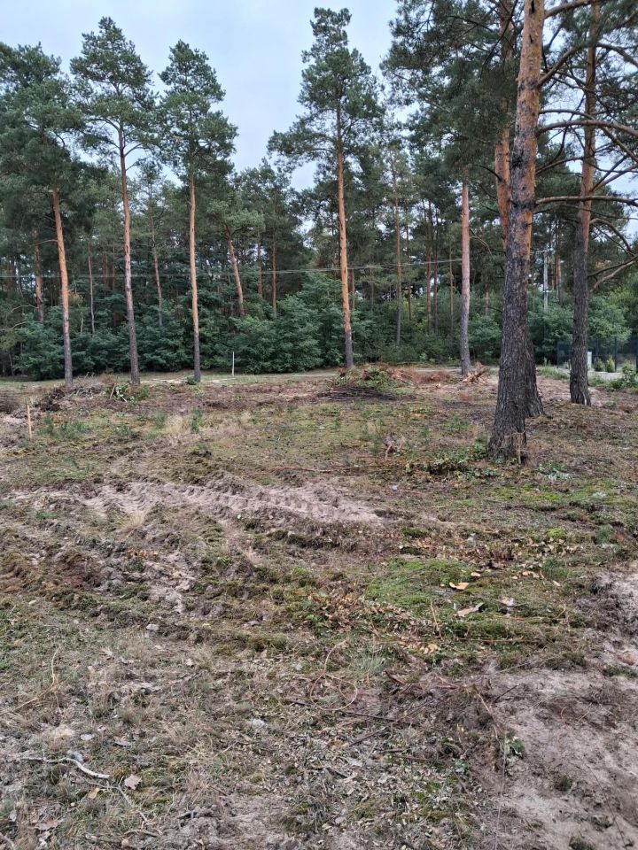 Działka budowlana Michałów-Reginów, ul. Piaskowa. Zdjęcie 3